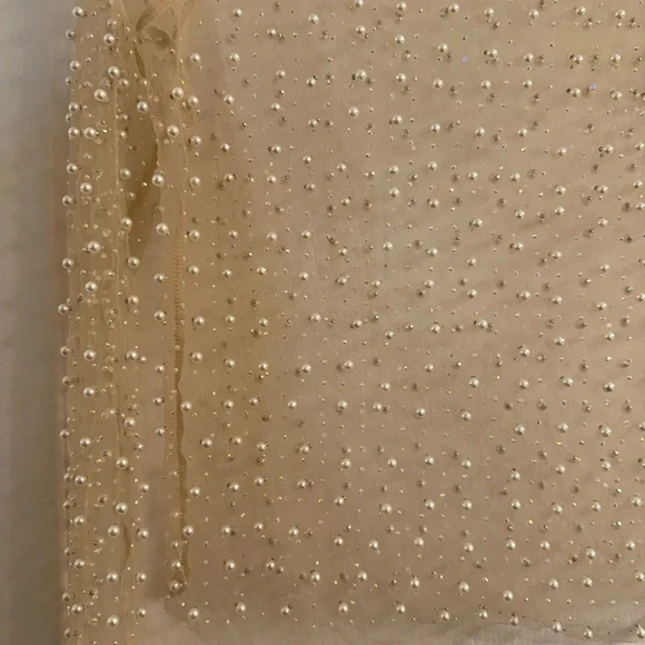 Sheer Beaded and Pearl Top - Picture 2 of 4